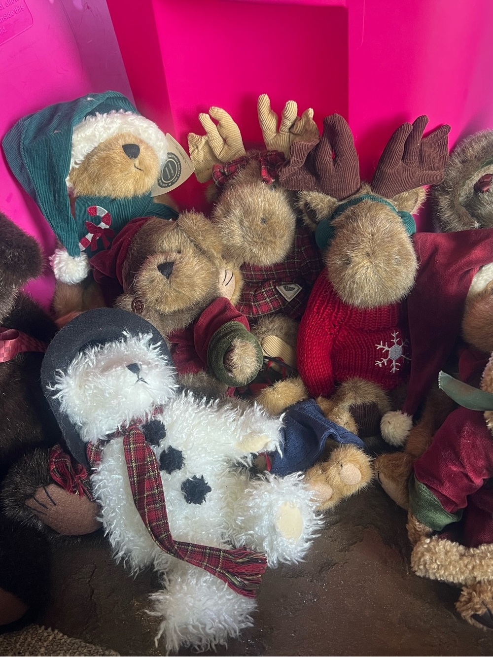 Boyd Bears Assortment